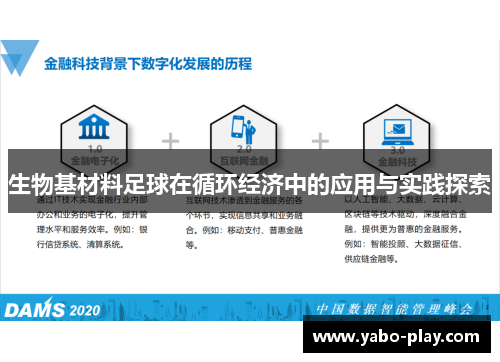 生物基材料足球在循环经济中的应用与实践探索