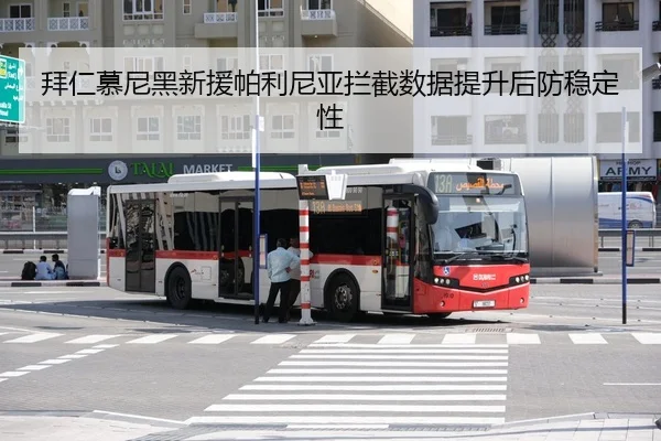 bai-ren-mu-ni-hei-xin-yuan-pa-li-ni-ya-lan-jie-shu-ju-ti-sheng-hou-fang-wen-ding-xing-3-828.jpg