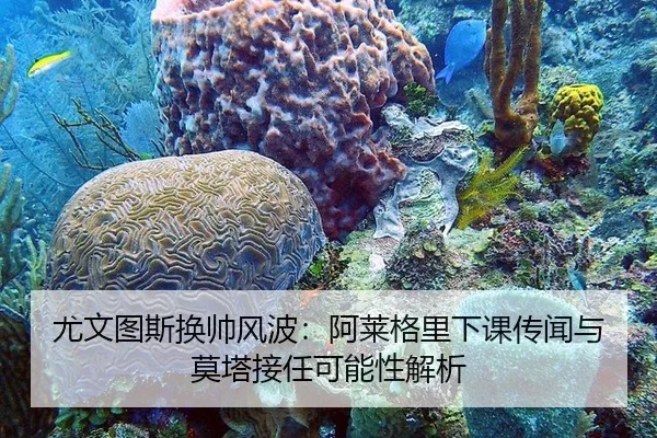 you-wen-tu-si-huan-shuai-feng-bo-a-lai-ge-li-xia-ke-chuan-wen-yu-mo-ta-jie-ren-ke-neng-xing-jie-xi-3-536.jpg