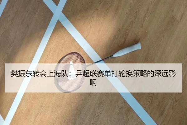 fan-zhen-dong-zhuan-hui-shang-hai-dui-ping-chao-lian-sai-dan-da-lun-huan-ce-lve-de-shen-yuan-ying-xiang-3-502.jpg