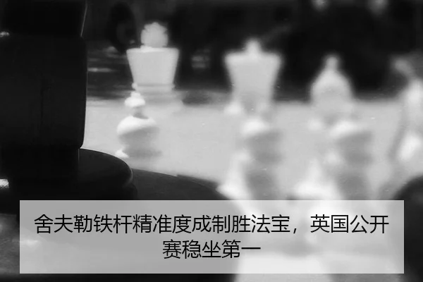 she-fu-lei-tie-gan-jing-zhun-du-cheng-zhi-sheng-fa-bao-ying-guo-gong-kai-sai-wen-zuo-di-yi-2-511.jpg