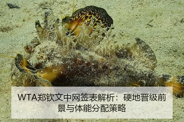 WTA郑钦文中网签表解析：硬地晋级前景与体能分配策略
