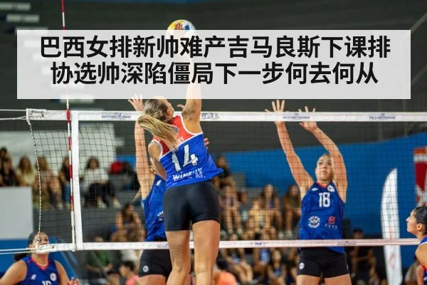 volleyball match action